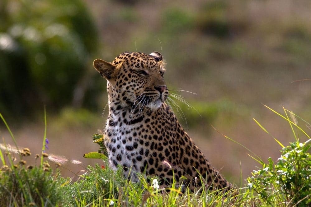 Hwange National Park