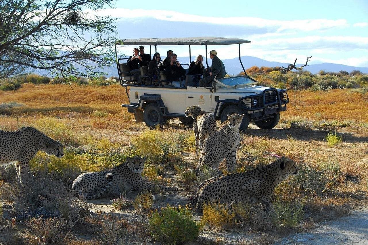 Hwange National Park Zimbabwe wildlife