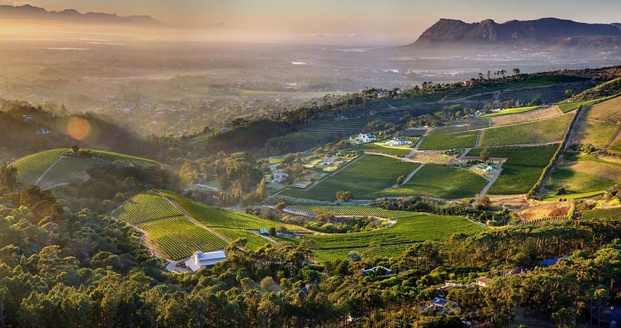 Constantia wine region South Africa