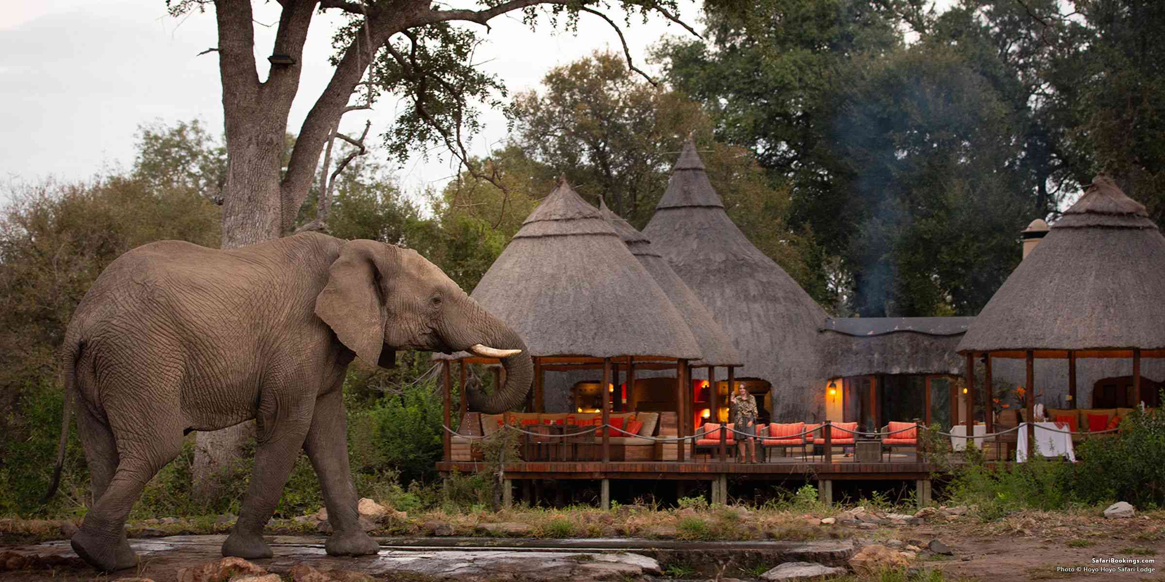 Luxury safari lodge South Africa